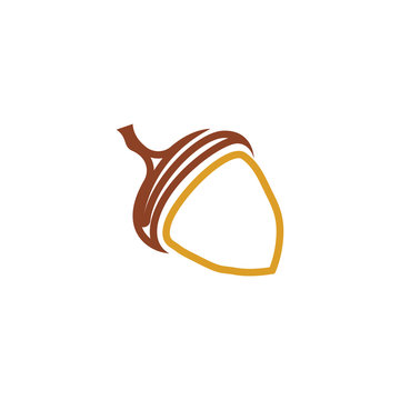 Acorn logo ilustration vector template
