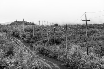 Wooden power lines near country road in the Kamchatka mountains. Russia, Kamchatka Peninsula. Black and white image