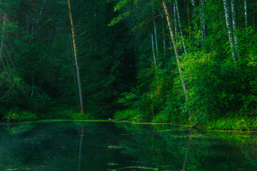 Beautiful calm lake and dark emerald forest ashore