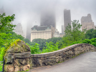 Central Park in spring