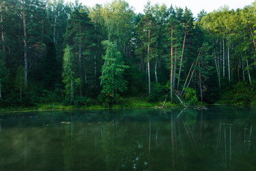 Obraz premium Beautiful calm lake and dark emerald forest ashore
