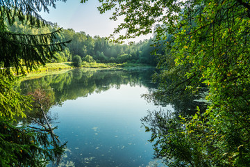 Beautiful calm lake and dark emerald forest ashore