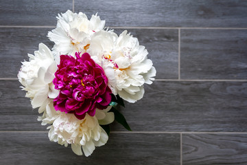 Top view on lush white and one pink peony on a gray wooden floor background. beautiful bouquet as a gift on a happy holiday