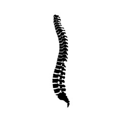 Strong healthy spinal cord vector icon illustration isolated on blue background