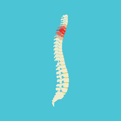 Spine vector icon. Spine diagnostics and therapy symbol