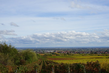 Fototapeta na wymiar Sonnige, herbstliche Panoramalandschaft mit Blick über Weinberge auf Edenkoben in der Pfalz