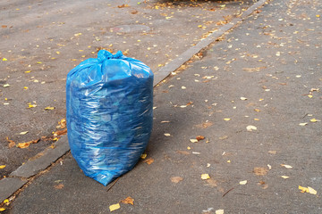 blue trash bag with leaves on the ground. autumn cleaning of city streets