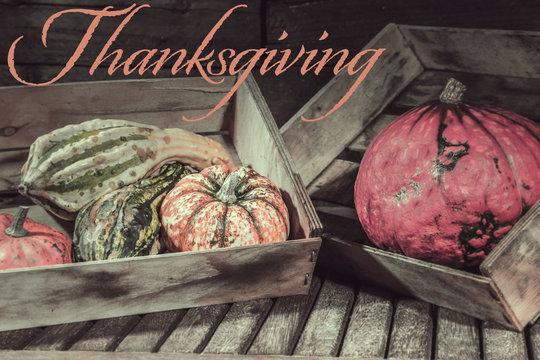 Thanksgiving repas &agrave; base de courge Potiron potimarron calebasse et citrouille cuisine de saison ressource graphique avec texte