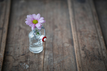Detail of purple flower in small vase on used shabby wooden furniture
