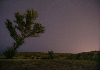 Fototapeta na wymiar tree under the night stars