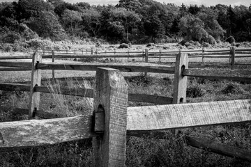 split rail fencing along pasture