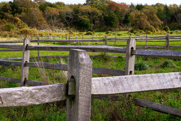 Fototapeta na wymiar split rail fencing along pasture