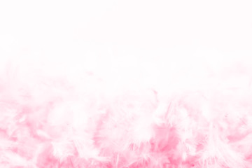 Fototapeta premium Beautiful abstract light pink feathers on white background, white feather frame on pink texture pattern and pink background, love theme wallpaper and valentines day, white gradient