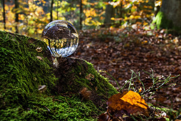 szklana kula w lesie, piękny krajobraz