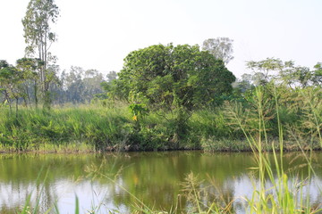 Nam Sang Wai is a wetland area in San Tin, New Territories, Hong Kong to the north of Yuen Long