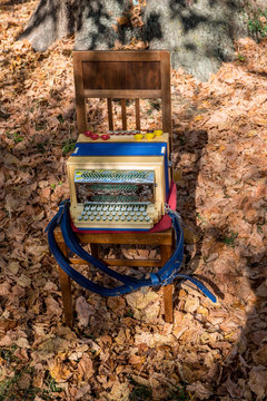 STEIRISCHE ZIEHHARMONIKA