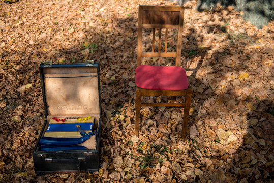 STEIRISCHE HARMONIKA . HERBST