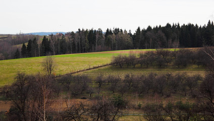 Apple Garden in Spring. Beskids Mountains, Poland.