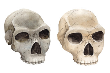 Fototapeta premium halloween postcard, skull watercolor illustration, clipart