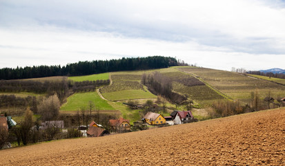 Fototapeta premium Fruit Farm Field in Spring. Beskids Mountains, Poland