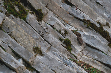 Rock strata.  Rock layers in the Alps. 