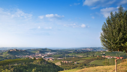 Fototapeta na wymiar Italian Landscape. Hills of Piedmont