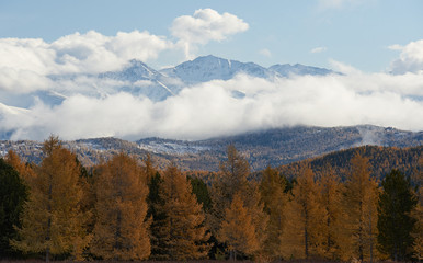 Altai mountains