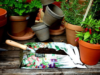 Autumn in the garden - equipment for gardening
