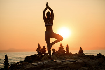Back view of woman in a tree pose on a rock at the beach at sunset.