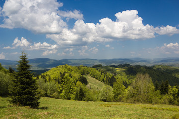Fototapeta na wymiar Mountain Landscape in May. Beskid, Poland.