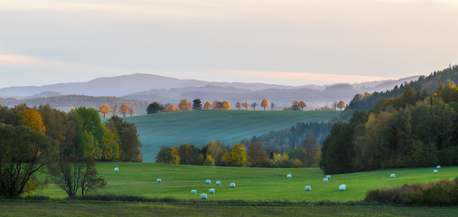 Sunlit autumn trees at sunset in a panoramic landscape. White packaged hay on green meadow, field...