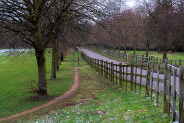 Alley and wooden fence in Cranford Park on an overcast day.