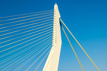 Erasmus Bridge,  Rotterdam, Netherlands