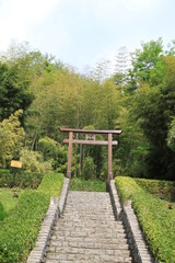 V&eacute;g&eacute;tation Villa Carlotta