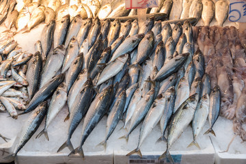 Obraz premium Fresh fish at the Naples market