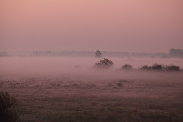 Obraz na płótnie Canvas Poranek we mgle 