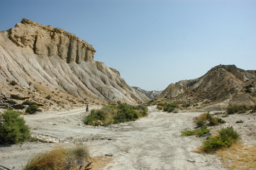 Tabernas desert