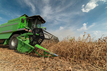 Harvesting of soybean