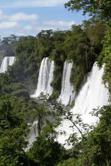 Fototapeta premium Iguassu Falls