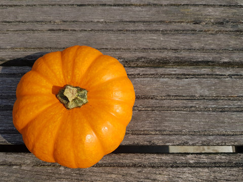 Pumpkin on the wooden surface. Open space.