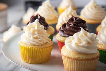 cupcake images in colorful cup