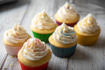 cupcake images in colorful cup