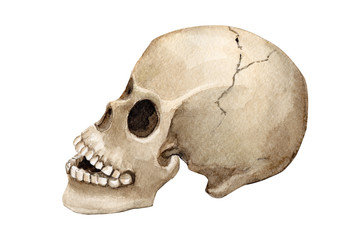 Naklejka premium halloween postcard, skull watercolor illustration, clipart