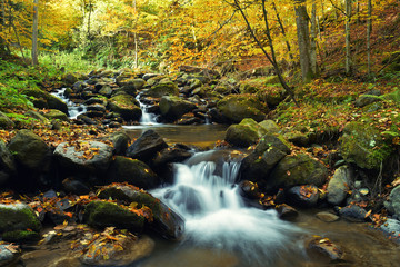 Naklejka na ściany i meble Waterfall in the mountains, autumn landscape in deep forest