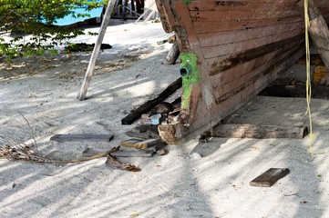 A black crow on the hull of a wooden boat (Ari Atoll, Maldives)