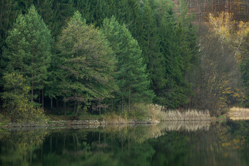 Forest reflection in lake in late autumn
