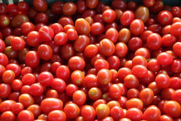 Delicious red tomatoes. Summer tray market agriculture farm full of organic vegetables It can be used as background.