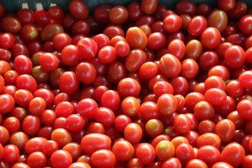 Delicious red tomatoes. Summer tray market agriculture farm full of organic vegetables It can be used as background.