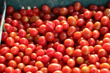 Delicious red tomatoes. Summer tray market agriculture farm full of organic vegetables It can be used as background.