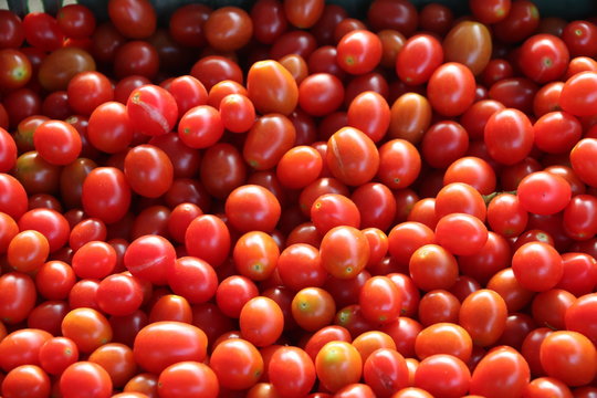 Delicious red tomatoes. Summer tray market agriculture farm full of organic vegetables It can be used as background.